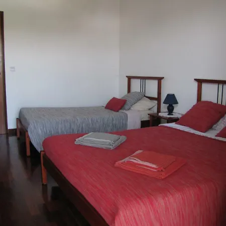 Domus Echinoidea Apartment