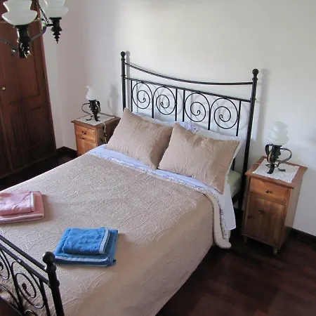 Domus Echinoidea Apartment