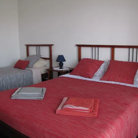 Domus Echinoidea Apartment *